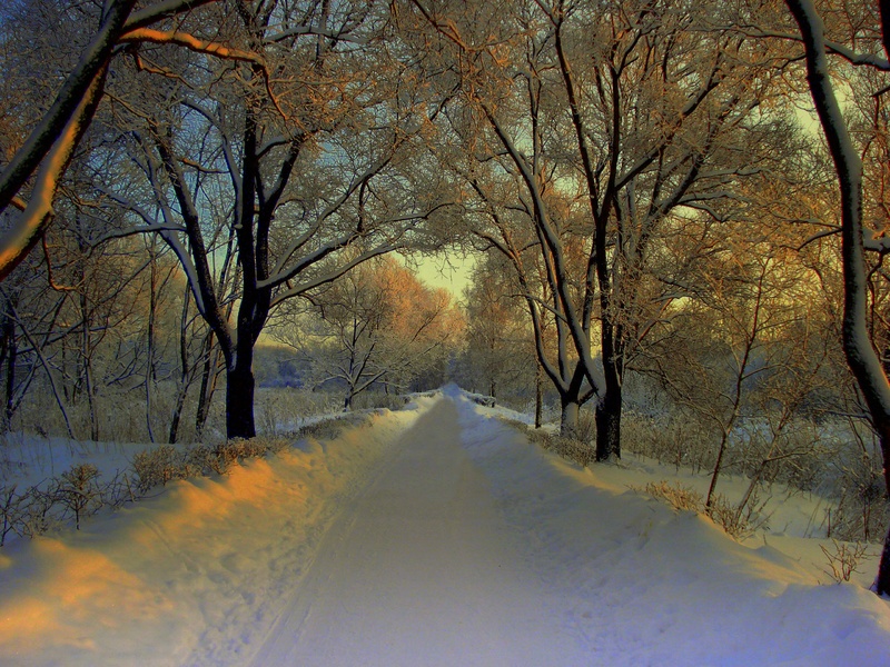 Конкурс фотографии «Любимый район в объективе»
