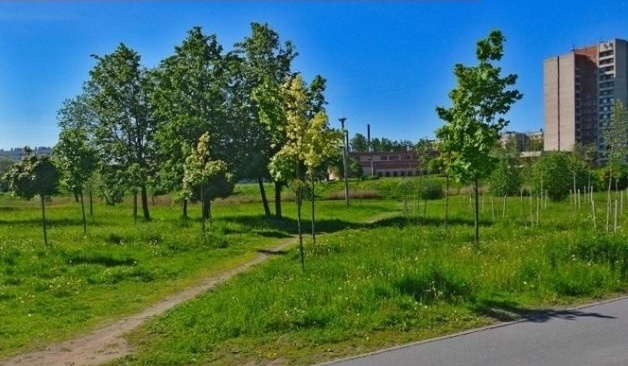 Безымянный сквер в Красносельском районе благоустроят к весне 2023 года