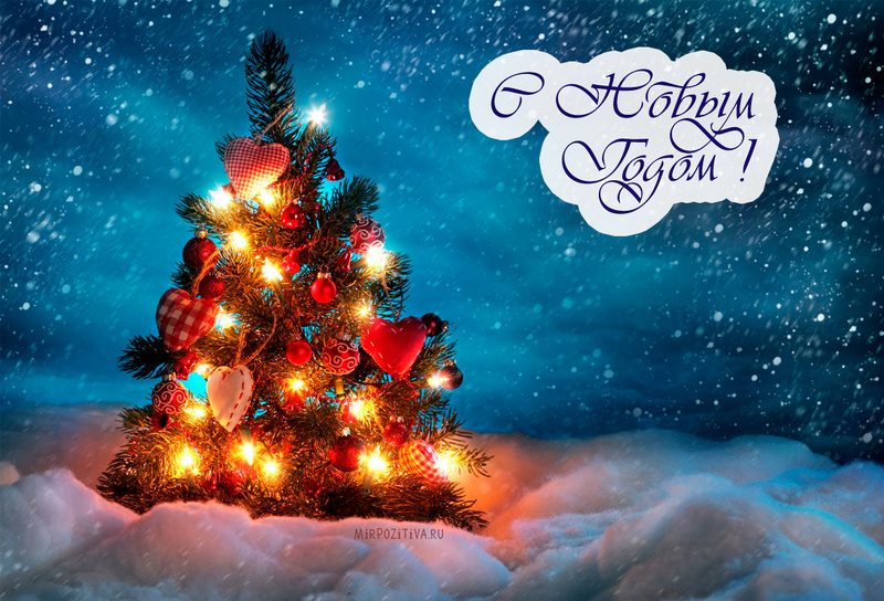 Уважаемые жители Ульянки, Урицка, Сосновой Поляны и Константиновского! Дорогие друзья!