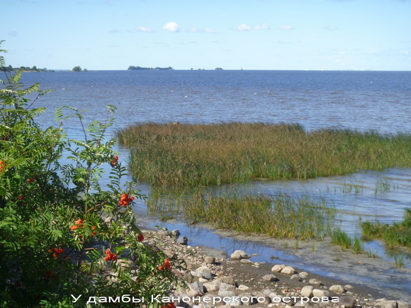 Борьба за охраняемые природные территории продолжается
