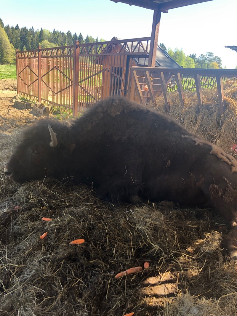 Досуговая программа для жителей