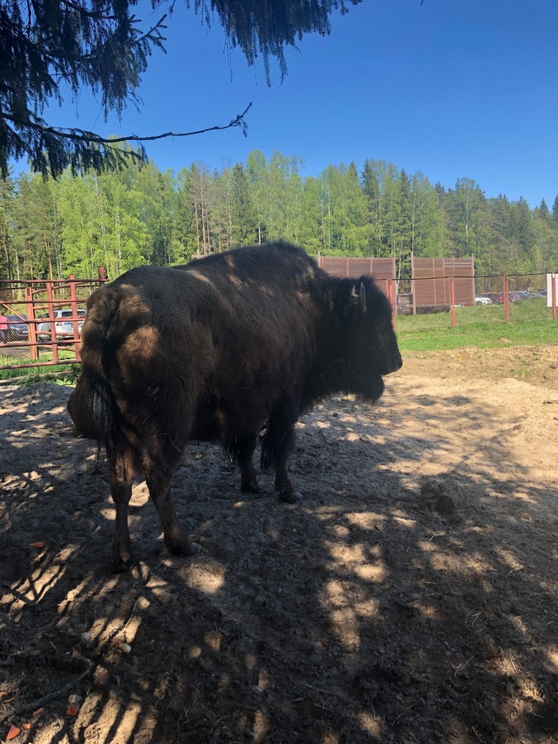 Уважаемые жители Ульянки!