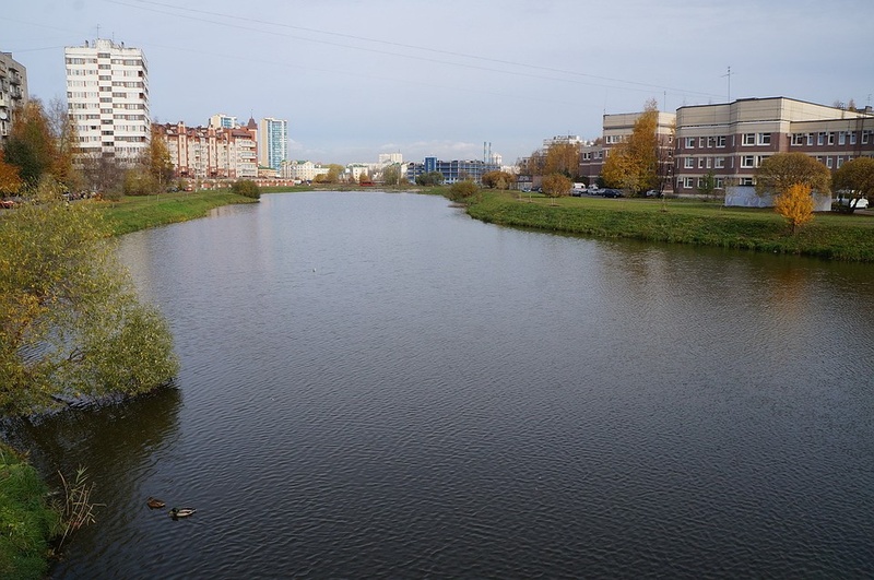 Причины неприятного запаха в Ульянке