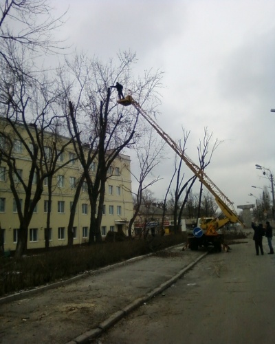 Плановая работа