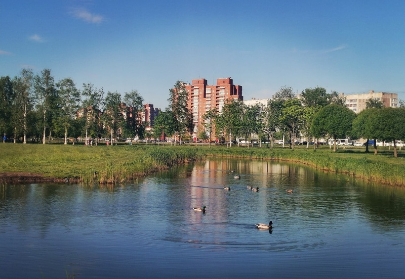 Обследование Полежаевского парка